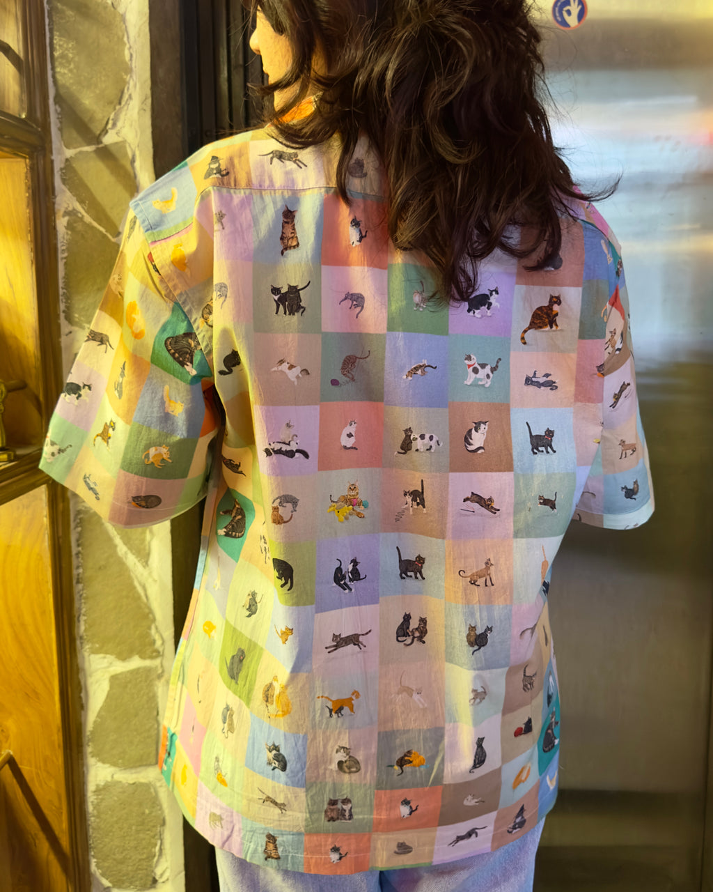 Did i tell you that i like Cats?